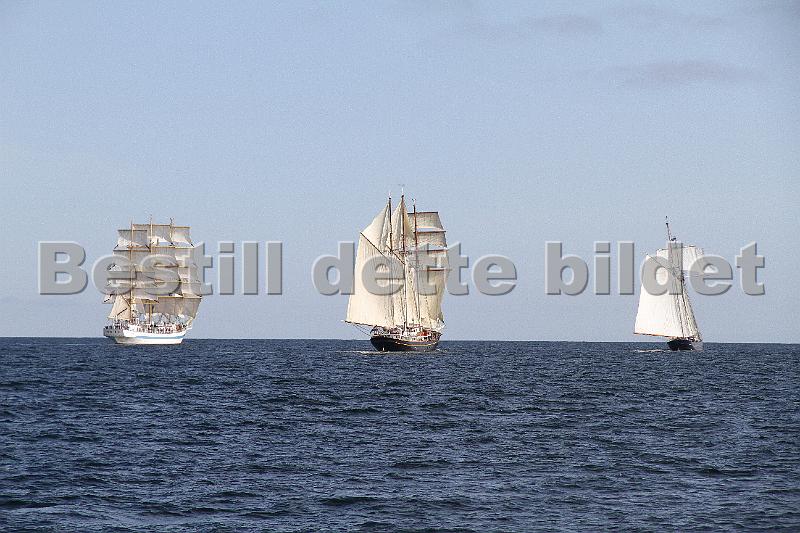 TSR2011_2 586.JPG